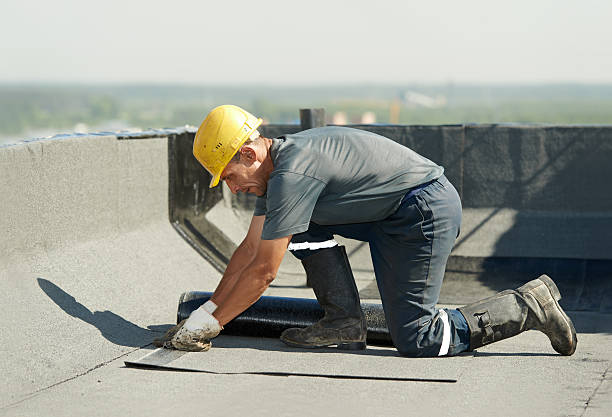 Best Insulation Removal  in Garfield, TX